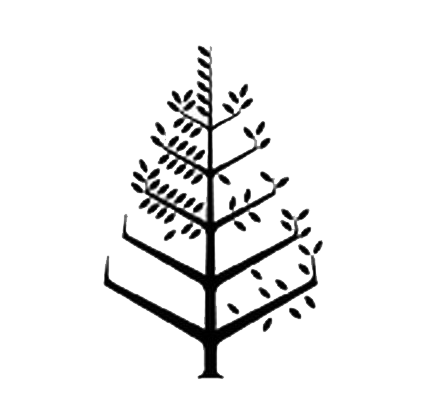 佛羅里達瑟夫賽德滑浪俱樂部四季酒店(Four Seasons Hotel) Logo